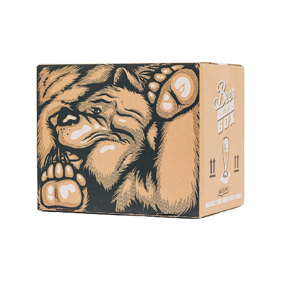 Beer in a Box kartonnen doos