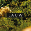 Logo van Lauw Brouwerij