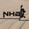 Logo van De Noord-Hollandse Bierbrouwerij
